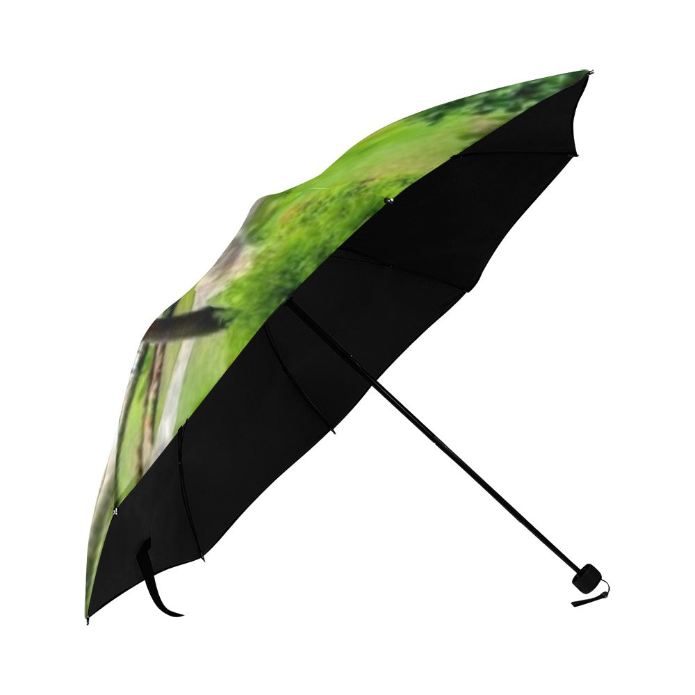 Island Umbrella